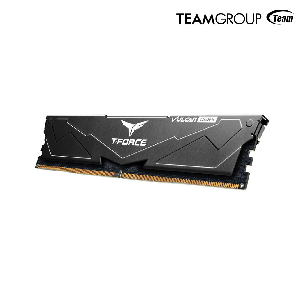Memoria RAM TeamGroup T-Force VULCAN  16 GB DDR5 5600 MHz